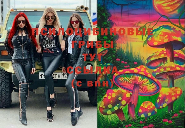 гашик Покачи