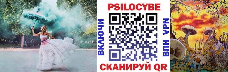 Галлюциногенные грибы Psilocybine cubensis  Макарьев 